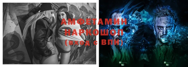 индика Абаза