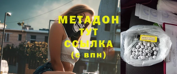 индика Абаза