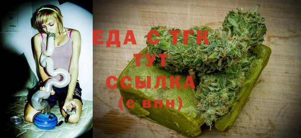 индика Абаза