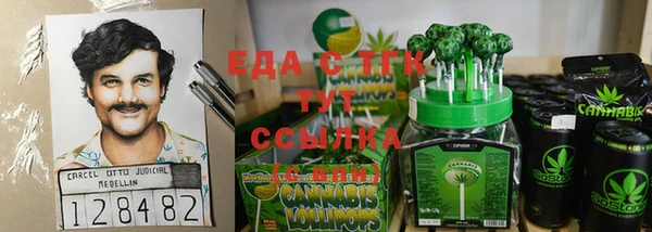 индика Абаза