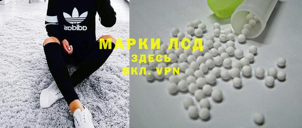 индика Абаза