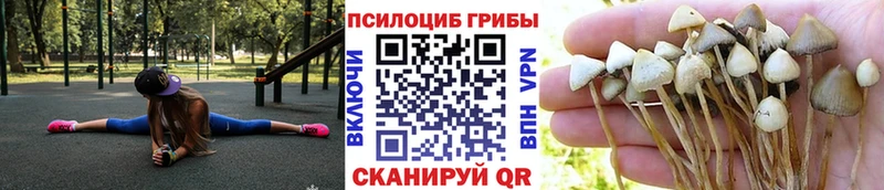 Галлюциногенные грибы мухоморы  Смоленск 