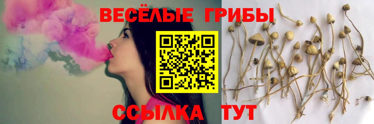 Псилоцибиновые грибы Cubensis Смоленск